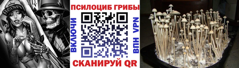 Галлюциногенные грибы мицелий  наркота  Первоуральск 