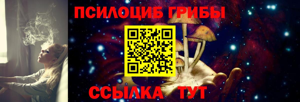 Первоуральск  Галлюциногенные грибы прущие грибы  Вход с VPN 
